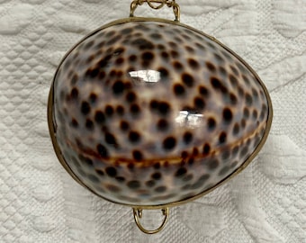 shell box . shell pill box. shell trinket box . coin box . Tiger shell box . trinket boc