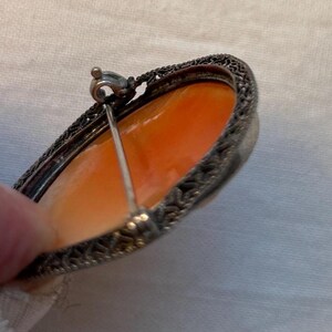 May include: A silver cameo brooch with an orange cameo set in a filigree frame. The brooch has a pin and catch closure.