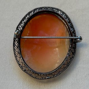 May include: A silver cameo brooch with a delicate filigree design. The cameo is made of shell and features a raised image. The brooch has a pin and catch closure.