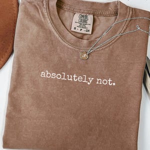 Comfort Colors® Absolutely Not Shirt, Funny Sarcastic Tee, Retro Humor T-Shirt, Sassy Womens Shirt, Trendy Saying Tee, Gift for Her