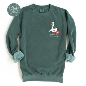 May include: A dark green sweatshirt featuring a white goose wearing a stethoscope and carrying a red first aid kit. The text "honk if it's an emergency" is printed below the goose.