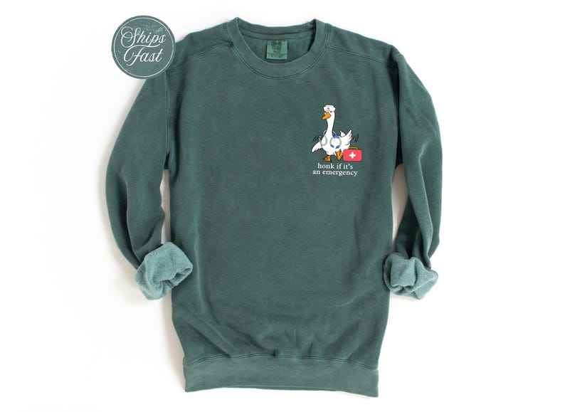 May include: A dark green sweatshirt featuring a white goose wearing a stethoscope and carrying a red first aid kit. The text "honk if it's an emergency" is printed below the goose.