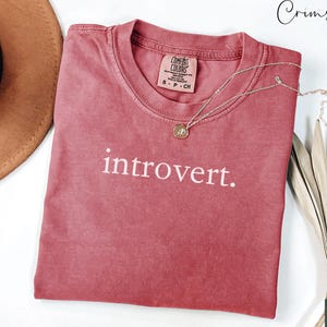 May include: A crimson red t-shirt with the text "introvert." printed in white on the front. The shirt is made of a soft, comfortable material and has a relaxed fit.