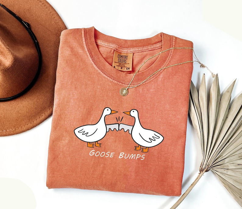 May include: A peach-colored t-shirt with a graphic of two geese bumping into each other. The text "Goose Bumps" is printed below the geese.