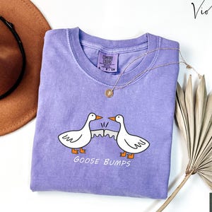 May include: A purple t-shirt with a graphic of two geese bumping heads. The text "Goose Bumps" is printed below the geese. The shirt is made by Comfort Colors.