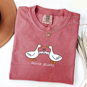 May include: A red t-shirt with a white graphic of two geese bumping into each other with the text "Goose Bumps" underneath.