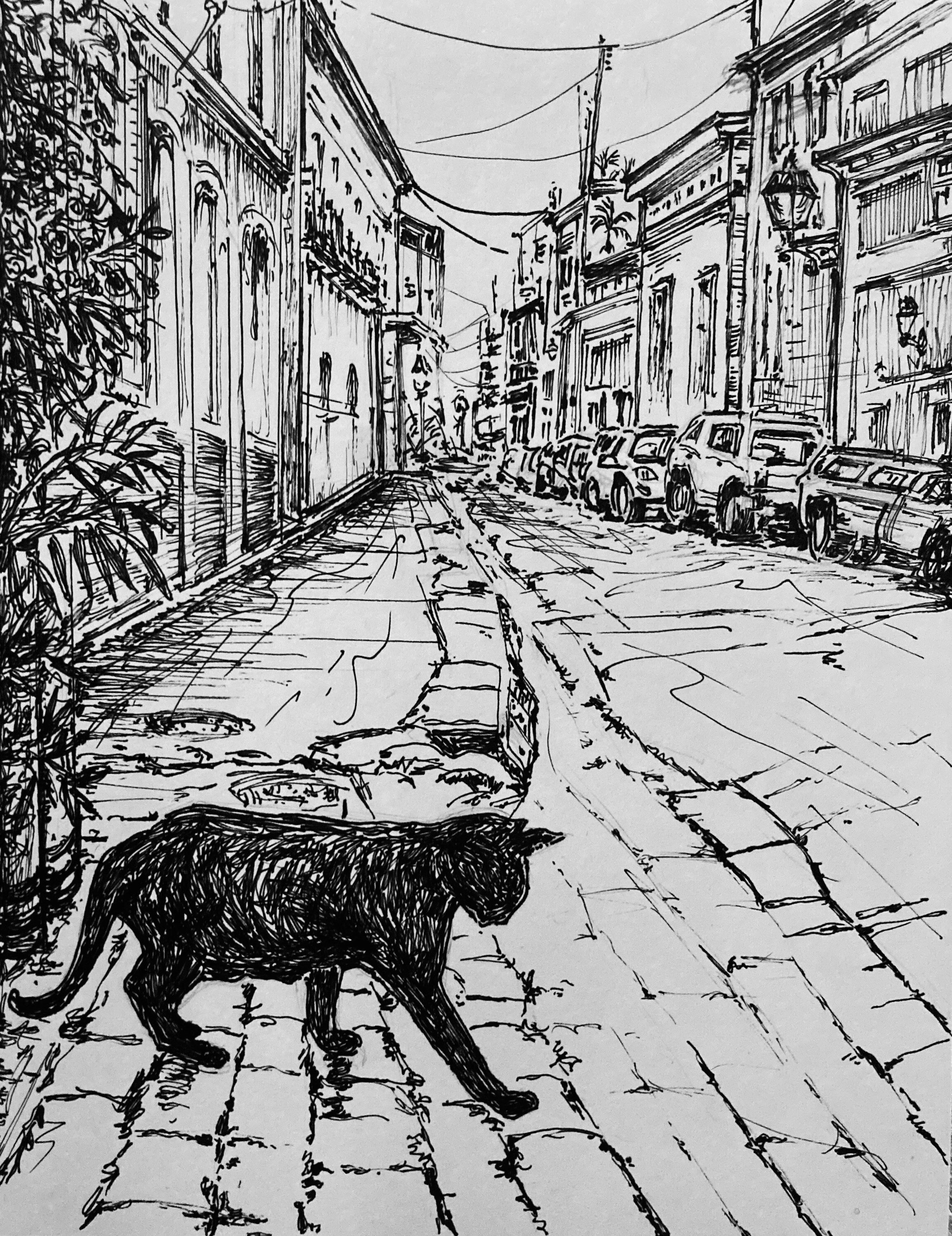 Wall Art - Pen and Ink Print - El Gato - Puerto Rico- San Juan - Leah ...