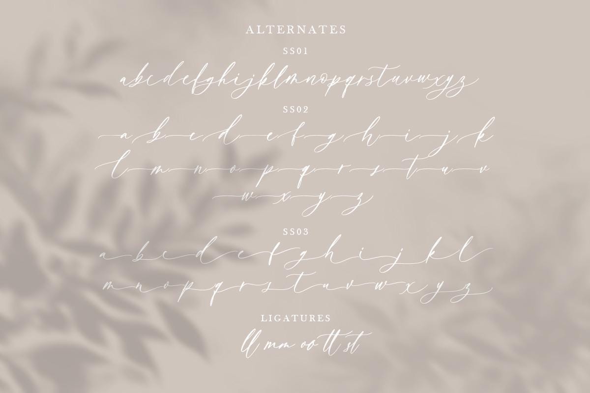Bitter Love Modern Calligraphy Font: Elegant Script for Wedding ...