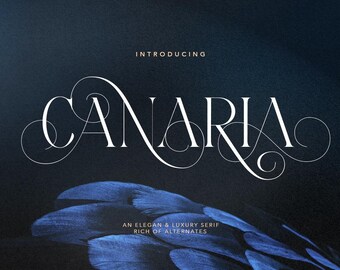 Canaria Light Serif フォント: エレガントなディスプレイ書体