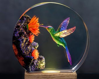 洋楽 Hummingbird Dirmond Nights DIAMOND NIGHTS / ダイアモンドの夜/HUMMINGBIRD/ハミングバード｜OLD