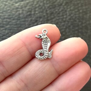 May include: Silver charm in the shape of a cobra snake with a detailed design. The charm has a loop at the top for attaching to a necklace or bracelet.