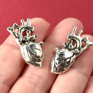 1 Charm, Heart, Anatomical, Human, Charm 27x13x12.4mm ITEM:BG13