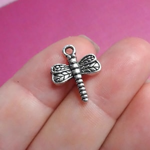 10 Charms, Dragonfly, Summer Insect Charms14x18x2mm ITEM:L9
