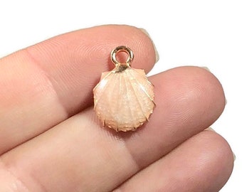 5 Charms, Shell, Clam, Beach, Sea, Charm, PEACHY, PINK, enamel, gold tone, 18x13mm hole: 1.5