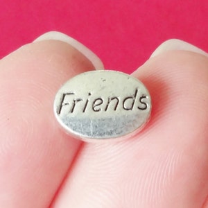 12 Beads, &quot;Friends&quot; Spacer Beads  8x11x3.5mm, Hole: Approx. 1mm