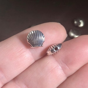10, Shell, Clam, Beach, Ocean, Spacer, Bead, 8x8.50x4mm hole: 1.5mm SH427