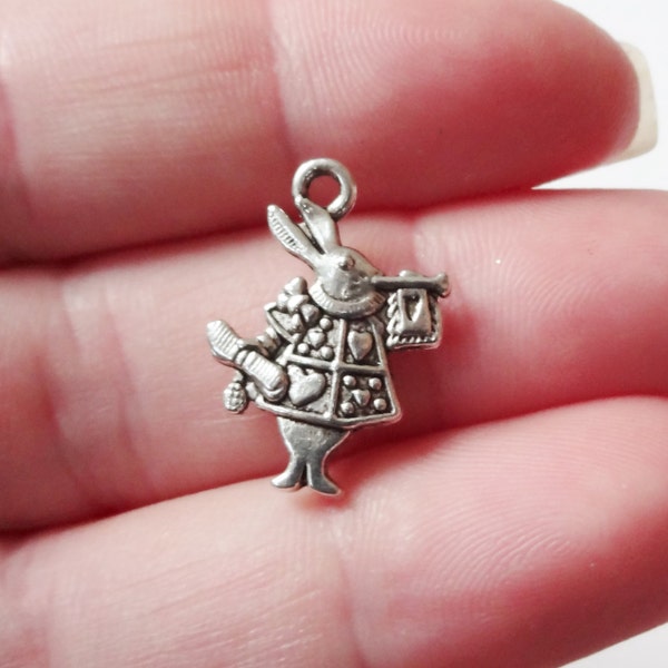 10 Charms, Rabbit "Fairy Tale" Charm (double sided) 20x15x2mm