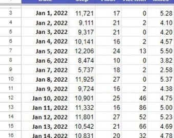 Fitness Tracker Spreadsheet Step Log Template New Years Resolution