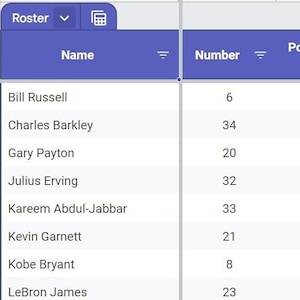 Può includere: Un foglio di calcolo con un elenco di giocatori di basket, i loro numeri di maglia e le loro posizioni sul campo. Il foglio di calcolo include giocatori come Bill Russell, Charles Barkley, Gary Payton, Julius Erving, Kareem Abdul-Jabbar, Kevin Garnett, Kobe Bryant, LeBron James, Michael Jordan, Oscar Robertson, Reggie Miller, Shaquille O'Neal, Tim Duncan e Wilt Chamberlain.