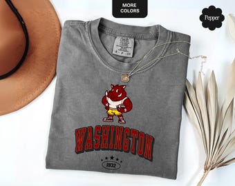 Washington Football Shirt, Comfort Colors® Retro Game Day Tee, Vintage 90s Style Washington Crewneck, Football Fan Gift, Varsity Team Shirt