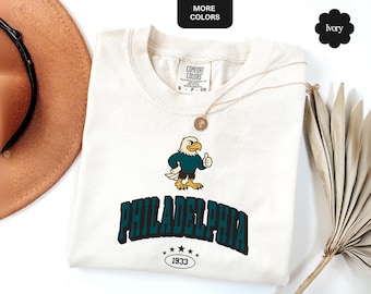 Philadelphia voetbalshirt, Comfort Colors® Bird Gang-T-shirt, Retro Game Day T-shirt, vintage Philadelphia fancadeau, zondagen zijn voor de vogels