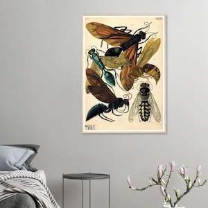 Bug Illustration Vintage Ea Seguy Insects 1929 Framed Matte Paper Poster - Art Deco Entomology Wall Art, Nature Home Decor, Unique Gift