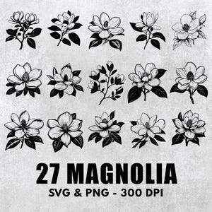 Magnolia Svg-bundel, Magnolia Vector Set, Magnolia Clipart, Magnolia Decal, Magnolia Art Png, Magnolia Cricut, Magnolia Logo pictogram Svg-bestanden