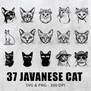Puede incluir: Un conjunto de 37 ilustraciones en blanco y negro de gatos javaneses en varias poses y estilos. Las ilustraciones incluyen gatos con sombreros, gafas de sol y flores. El texto "37 JAVANESE CAT SVG & PNG - 300 DPI" está en la parte inferior de la imagen.