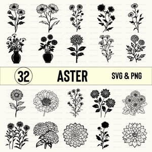 Aster Flower SVG PNG Clipart: Floral Silhouette Vector (Digital Download)
