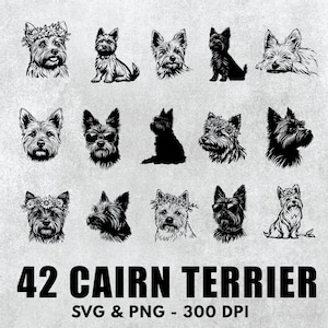 Cairn Terrier Svg Bundle, Cairn Terrier Silhouette, Cairn Terrier Clipart, Funny Cairn Terrier , Cairn Terrier Decal, Cairn Terrier Svg Png