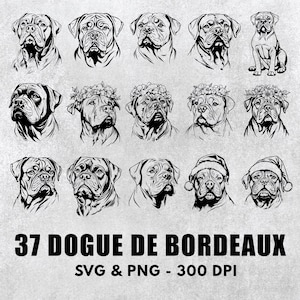 Paquete Dogue De Bordeaux Svg, Dogue De Bordeaux Silhouette Png, Dogue De Bordeaux Clipart, Calcomanía Dogue De Bordeaux, Logotipo de Dogue De Bordeaux