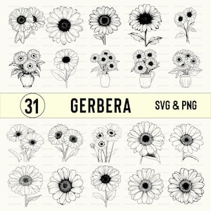 Gerbera Svg Png, Gerbera Silhouette, Gerbera Clipart, Gerbera Vector, Gerbera Cut file, Cricut, Florals Outline, Gerbera Decal, Gerbera file