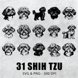 Shih Tzu Svg Bundle, Shih Tzu Silhouette, Shih Tzu Clipart, Shih Tzu Vector, Shih Tzu Decal, Shih Tzu Gift, Shih Tzu Logo, Shih Tzu Icon Svg