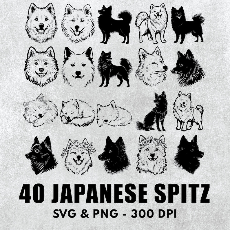 Spitz Icon Japanese Spitz Silhouette Bundle: Vector Clipart, Decal Icon (SVG & PNG ...