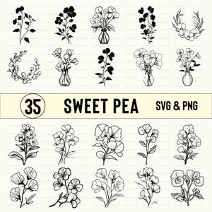 Sweet Pea Svg Png, Sweet Pea Clipart, Sweet Pea Silhouette, Sweet Pea Vector, Sweet Pea Cut files, Cricut, Decal, Designs, Outline, Flowers