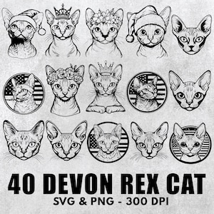 Devon Rex Katze-Svg-Bundle, Devon Rex Katze Silhouette Png, Devon Rex Katze Clipart, Devon Rex Katze Geschenkdatei, Devon Rex Katze Abziehbild Symbol Logo-Dateien