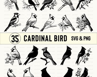 Cardinal Bird SVG Bundle: Silhouette Clipart Vector (PNG, Cricut Files)