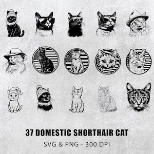 Domestic Shorthair Cat  Svg Png Bundle, Domestic Shorthair Cat Silhouette, Shorthair Cat Clipart, Cat small Vector,  Decal, Cricut Cut File