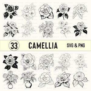 Camellia Flower SVG PNG: Floral Clipart, Cut File