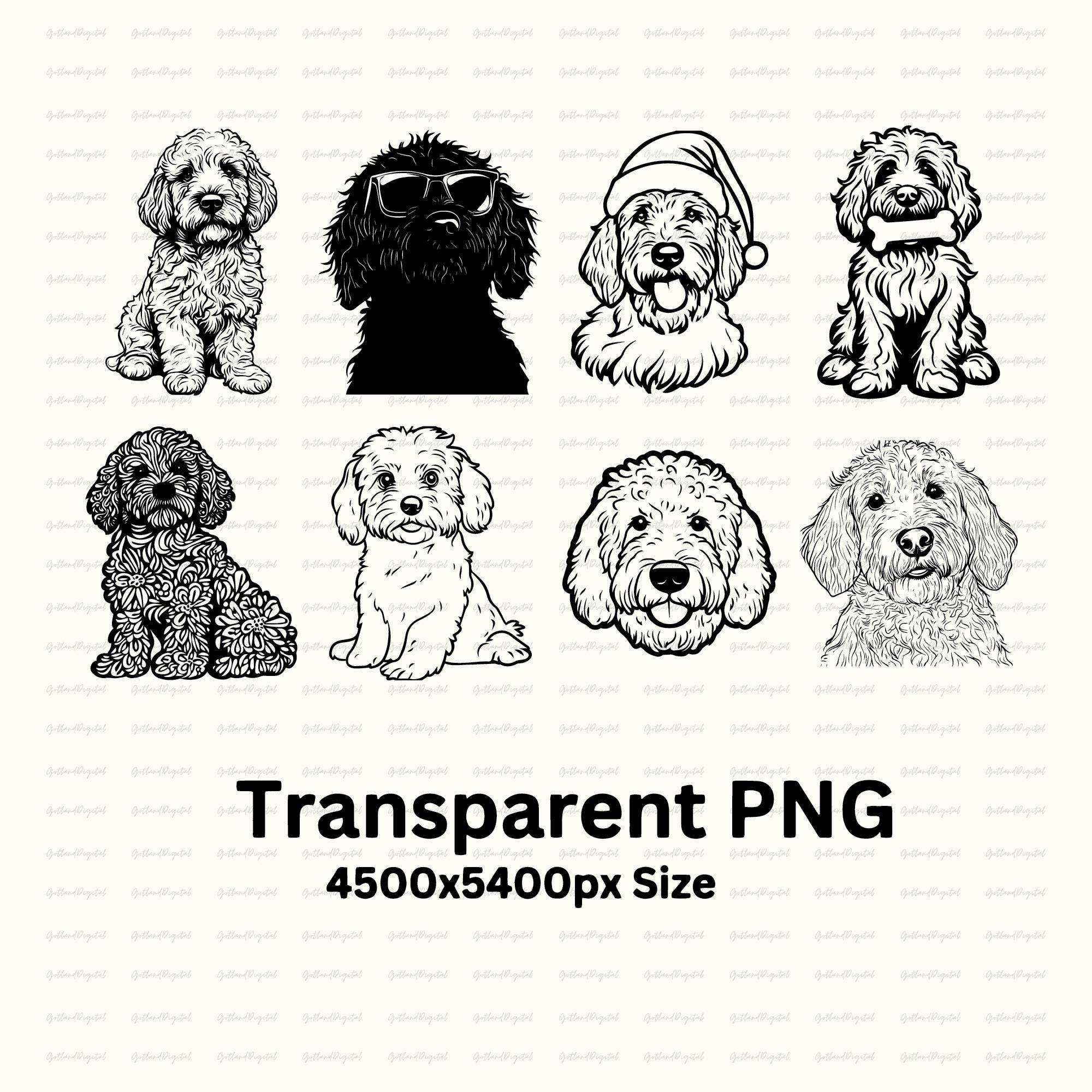 Pyredoodle Dog Silhouette Bundle: Vector Art SVG, PNG - Etsy