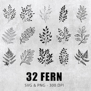 Fern Svg Bundle, Fern Svg Vector Set, Fern Clipart Png, Fern Decal Cut File Png, Fern Art Png, Fern Cricut File, Fern Logo Icon Svg Cur File