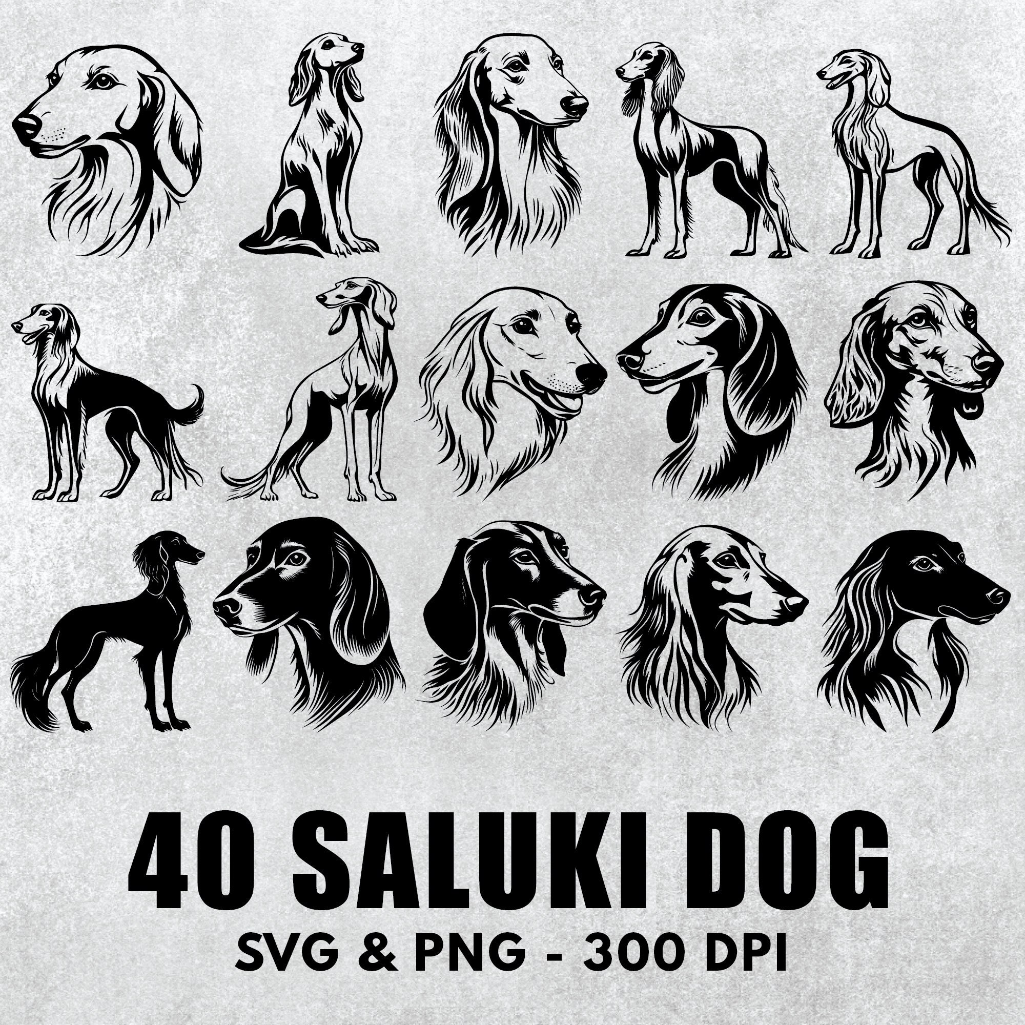 Saluki Art Print