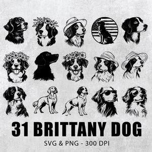 Bundle Svg chien Bretagne, Silhouette chien Bretagne, Clipart chien Bretagne, vecteur chien Bretagne, sticker chien Bretagne, Bretagne Logo icône Svg Png