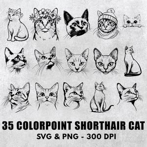 Colorpoint Shorthair Cat Svg Bundle, Colorpoint Shorthair Cat Silhouette Png, Colorpoint Shorthair Cat Clipart, Colorpoint Cat Gift Files