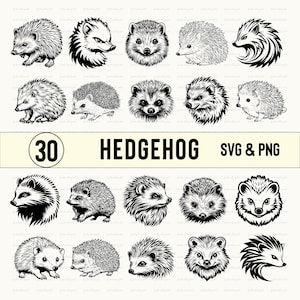 Hedgehog SVG Bundle: Silhouette Clipart Vector Designs (PNG)