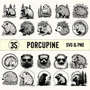 Porcupine Svg Png, Porcupine Clipart, Porcupine Silhouette, Porcupine Vector, Cut Files, Cricut, Porcupine Decal, Designs, Porcupine Outline