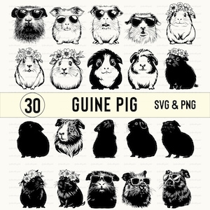 Guine Pig Svg Bundle, Guine Pig Silhouette, Guine Pig Clipart, Guine Pig  Vector, Guine Pig Decal, Guine Pig Logo, Guine Pig Icon Cut Files