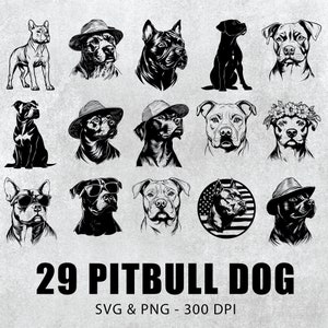 Pitbull Svg Bundle, Pitbull Silhouette, Pitbull Clipart, Pitbull Vector, Pitbull Decal, Pitbull Gift File, Pitbull Logo, Pitbull Icon Cricut