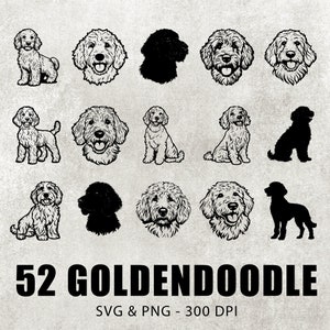 Goldendoodle Silhouette Bundle, Goldendoodle Vector Set, Goldendoodle Clipart, Goldendoodle Decal, Goldendoodle Lover Cricut Cut File Icon