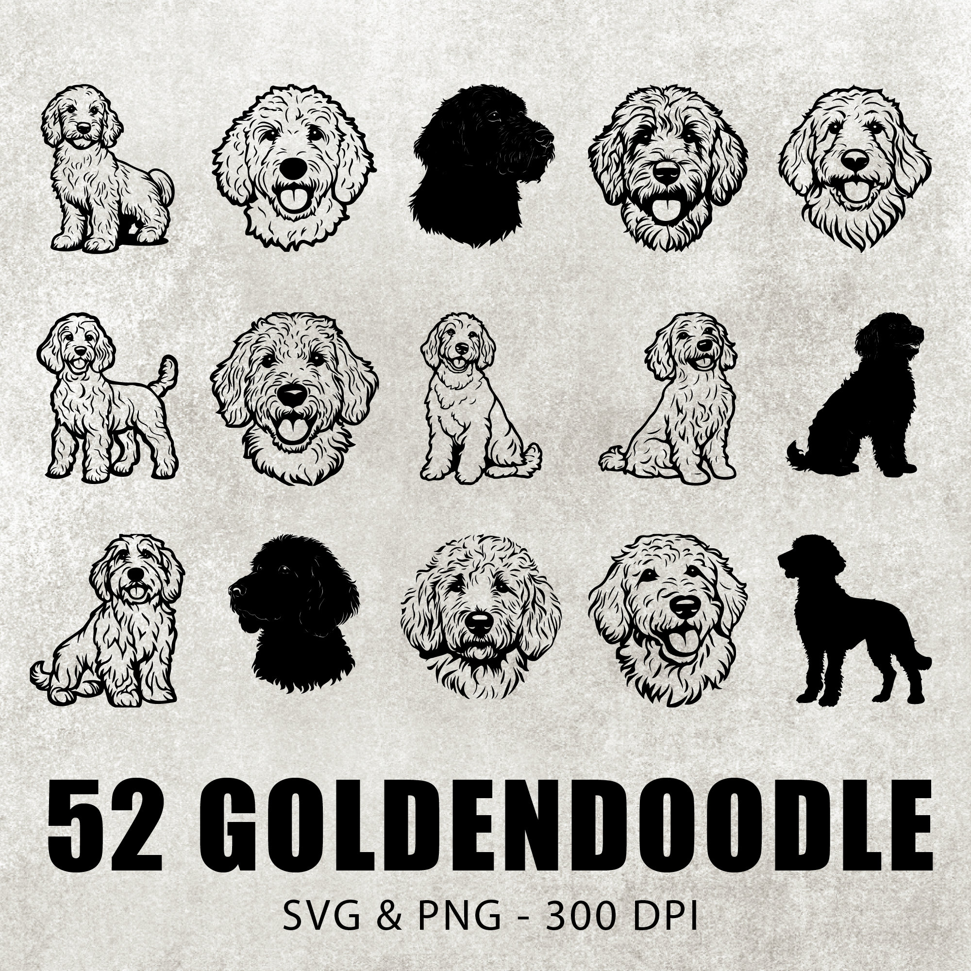 Boy Top Goldendoodle Names Goldendoodle Puppies For Sale Pets4Homes